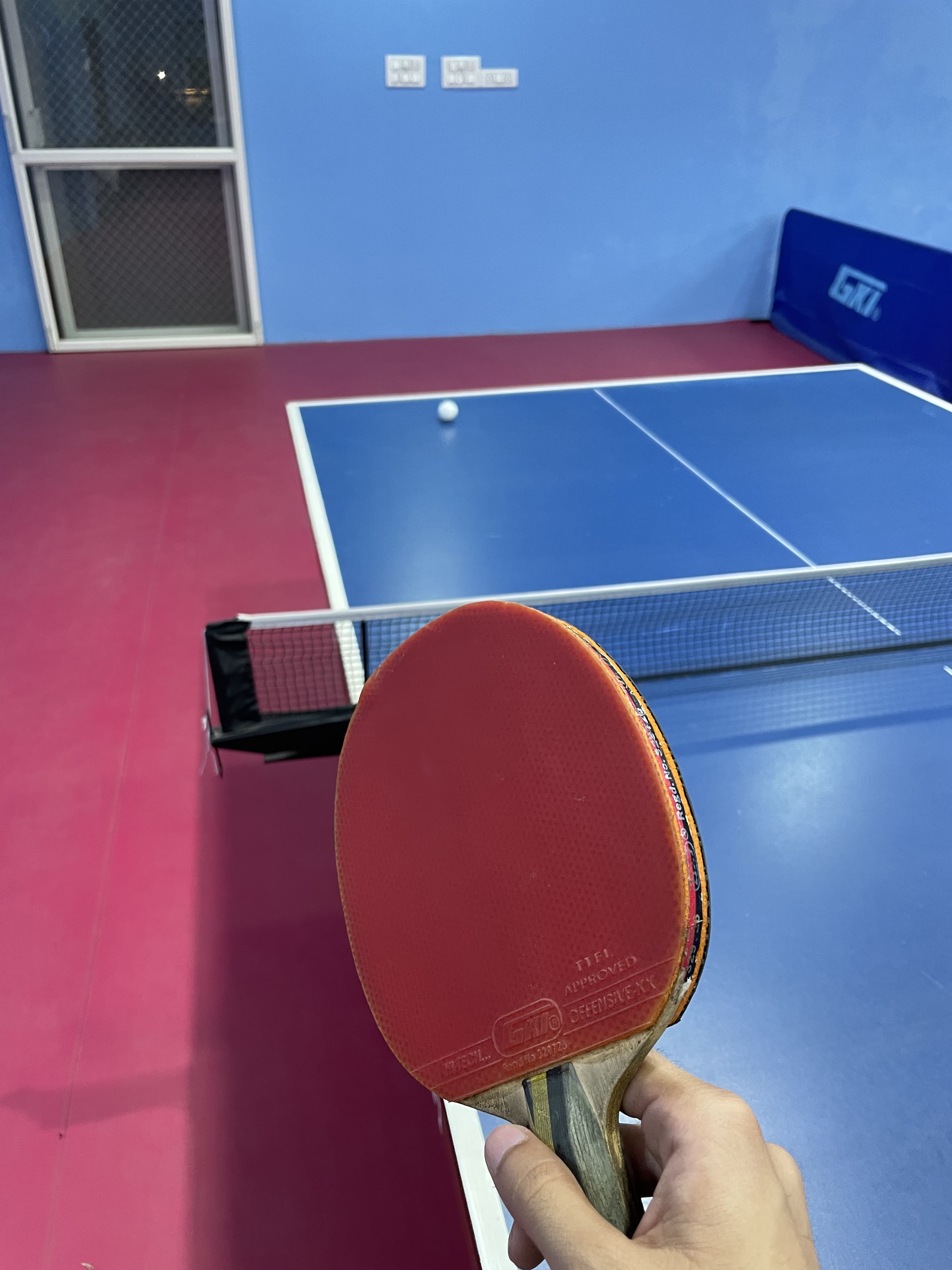 Table Tennis Player 3